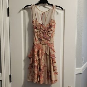 Lauren Conrad Floral Ruffle Dress in Pink and Cream